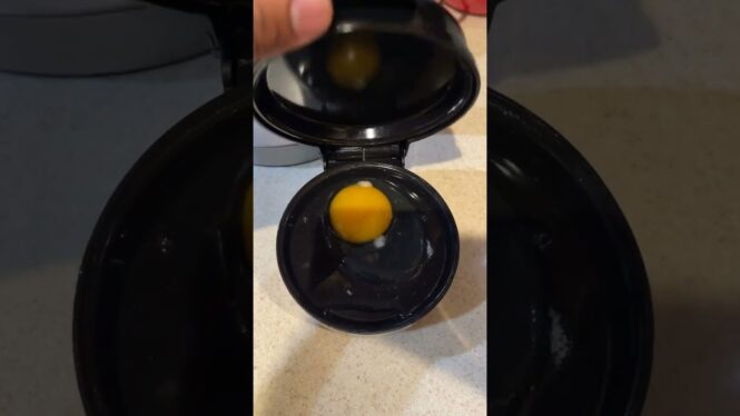 Demo and Review - HyVance Fried Egg Cooker