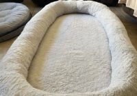 VEVOR Human Dog Bed Review