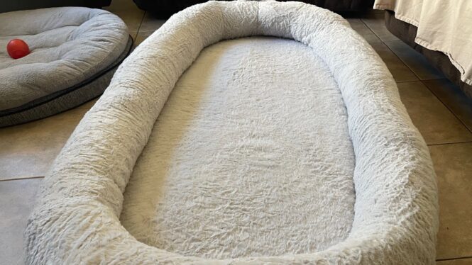 VEVOR Human Dog Bed Review